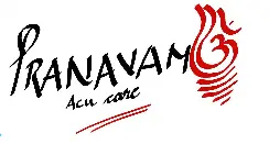 PranavamAcuCareAcademy